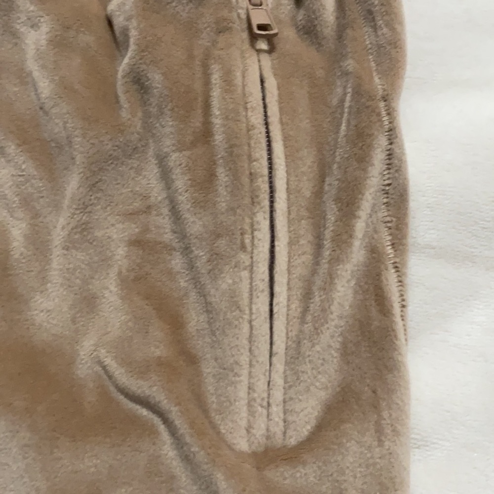 Skims Velour Joggers - Picture 6 of 7